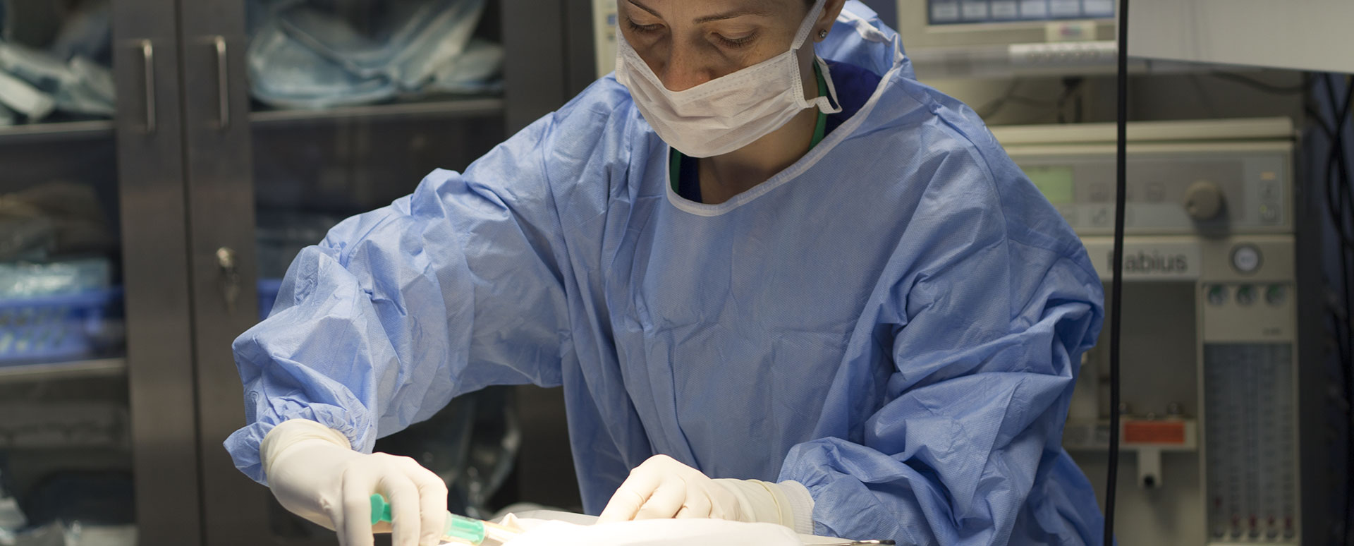 dr cristina ciontu-huian